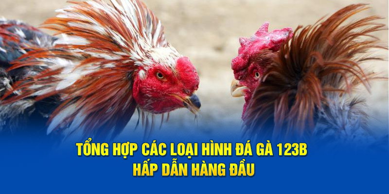 Tổng hợp các loại hình đá gà 123B hấp dẫn hàng đầu